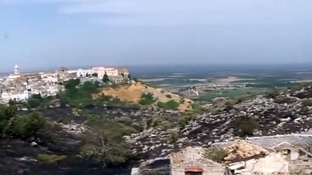 Incendio sull'Alta Murgia: aereo canadair vicino Andria, in fiamme zona Minervino Murge