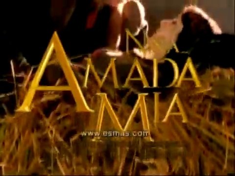 POLLY-NIÑA AMADA MIA