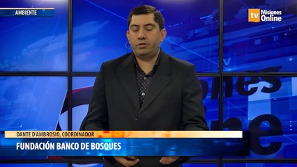 Fundación  banco de bosques