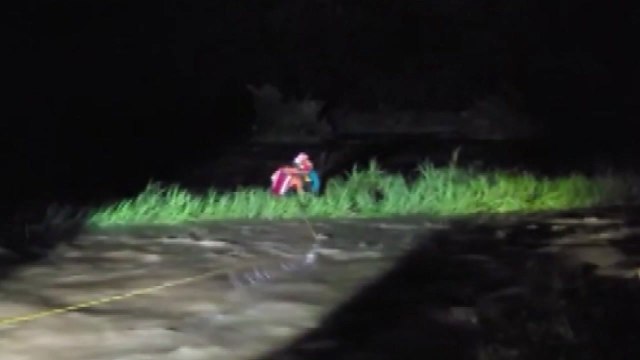 다슬기 잡다가 갑자기 불어난 계곡 물에 고립...1시간여 만에 구조 / YTN