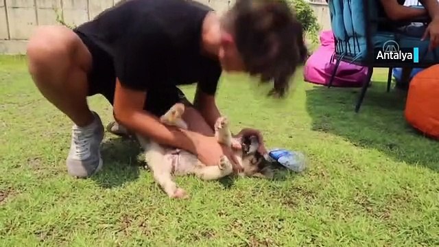 Yangında kurtarılan ve Yanık adı verilen köpek ekiplerin maskotu oldu.