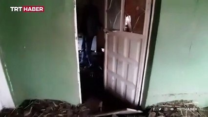 Van'da sel: Onlarca hayvan telef oldu