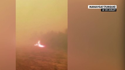 Les incendies font rage dans le sud de l'Europe