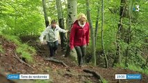 Cantal : à la découverte d'une terre de fromages et de randonnées