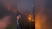 Son dakika haberleri! Gündoğmuş'taki orman yangınları kontrol altına alınmaya çalışılıyor