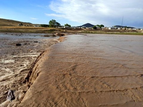 Özalp'ta sel, çok sayıda küçükbaş hayvan telef oldu