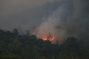 Son dakika haberi! Milas'ta ormanlık alanda çıkan yangın kontrol altına alınmaya çalışılıyor