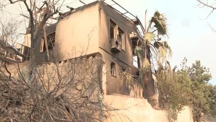 Son dakika haberleri | Manavgat'taki orman yangınında ölen çiftin köpeğine hayvanseverler sahip çıktı