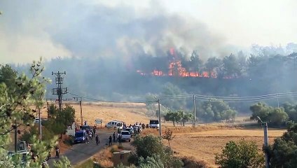 In fiamme l'Europa del Sud. Brucia anche la famosa Pineta Dannunziana
