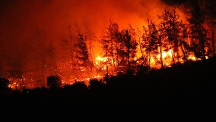 Milas'taki yangının bölgedeki termik santrallere yaklaşması büyük panik yarattı