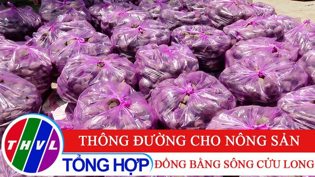 Nông nghiệp bền vững: Thông đường cho nông sản đồng bằng sông Cửu Long