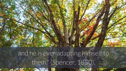 Social Theory: Herbert Spencer on Social Evolution