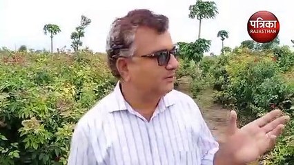 गुलाब की महक, पपीते की मिठास, कमाई पांच लाख पार