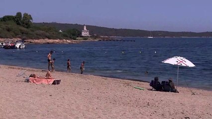 Sardegna dà la caccia ai ladri di sabbia e conchiglie