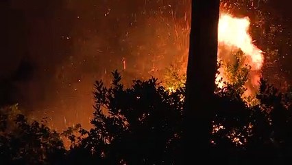 Países mediterrâneos sofrem com incêndios