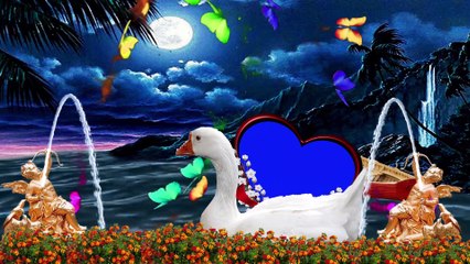 Wedding green screen Effects HD Video 38/Dil photo frame Very Beautiful New green photo frame hd