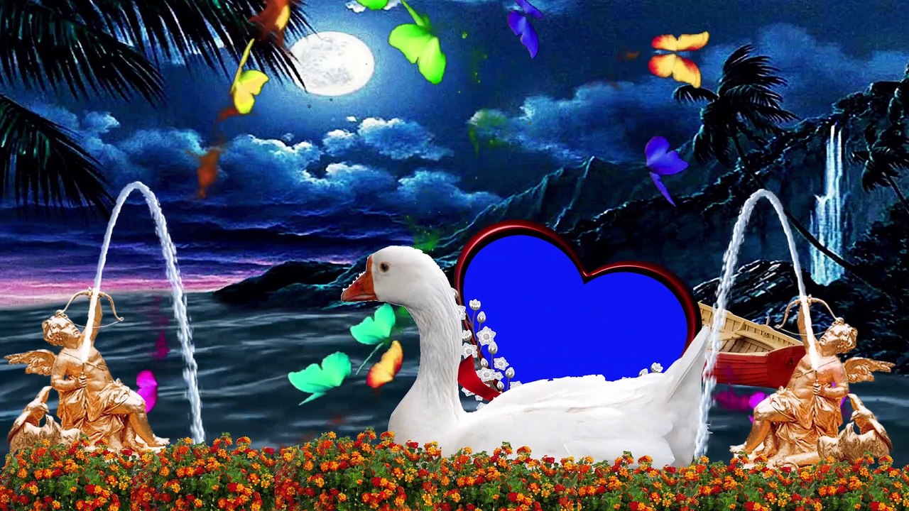 Wedding green screen Effects HD Video 38/Dil photo frame Very Beautiful New green photo frame hd