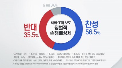 [더뉴스-더여론] '최대 5배 손해배상' 언론중재법...찬성 56 vs 반대 35 / YTN