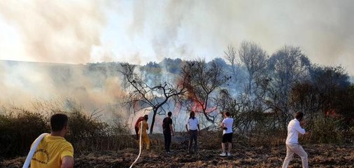 Elektrik teline çarpan atmaca arazi yangınına sebep oldu