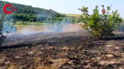Elektrik teline çarpan atmaca, yangına neden oldu