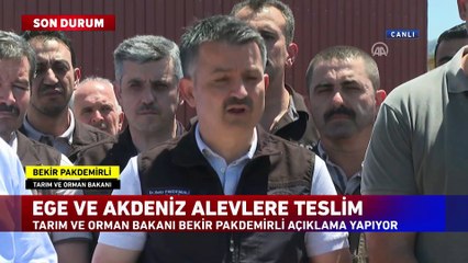 Orman yangınlarında son durum! Bakan Pakdemirli açıkladı