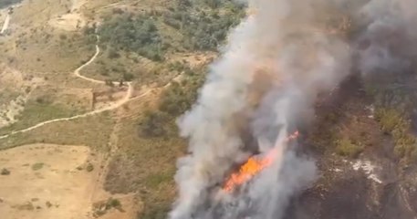 Aidone (EN) - Incendio boschivo (02.08.21)