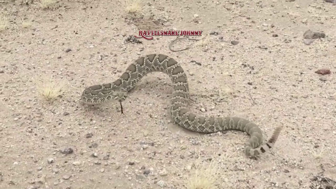 Willkommen auf meinen Kanal