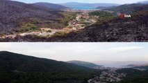 Cennet Marmaris'ten geriye bakın ne kaldı! Yangın öncesi ve sonrası çekilen görüntüler kahretti