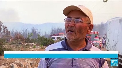Incendies en Turquie : des régions balnéaires en flammes