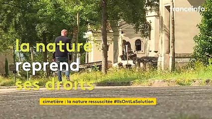 Dans le cimetière monumental de Rouen, végétaux et animaux ont fait leur grand retour