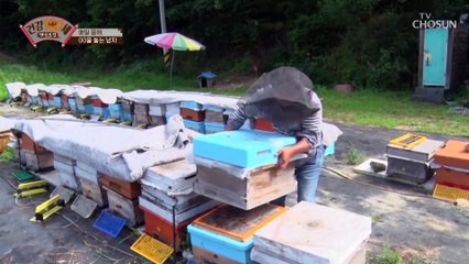 ⧙ㅎㄷㄷ..⧘ 약 10년간 벌침을 놓는 주인공 TV CHOSUN 210802 방송