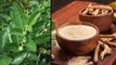 India, UK To Conduct Clinical Trials Of Ashwagandha Plant For Treating Covid-19  || Oneindia Telugu