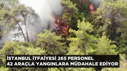 İmamoğlu paylaştı:  Yanan bizim vatanımız, el birliğiyle bu yangını söndüreceğiz