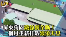 屏東狗園鐵絲網全斷！ 三個月重新打造浪浪天堂