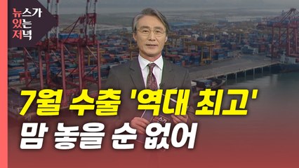 [뉴있저] 7월 수출 '역대 최고' 쾌거...맘 놓을 순 없어 / YTN