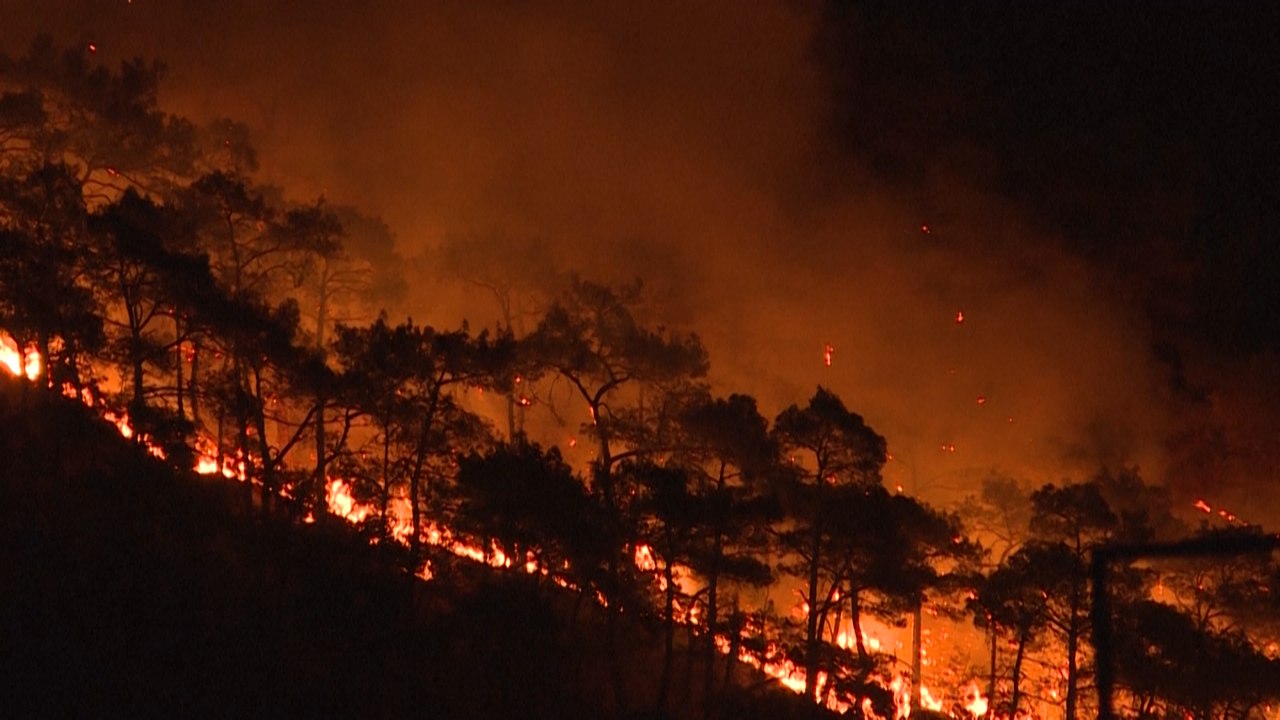 Verheerende Brände in Griechenland und der Türkei