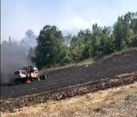 Bursa'da anız yakan çitçiye ceza