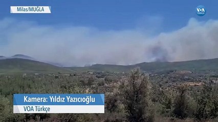 Milas'ta Orman Yangınları Sürüyor