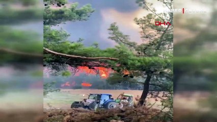 Denizli'de orman yangını: Müdahale sürüyor