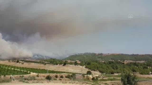 Tarlada başlayıp ormanlık alana sıçrayan yangına müdahale ediliyor