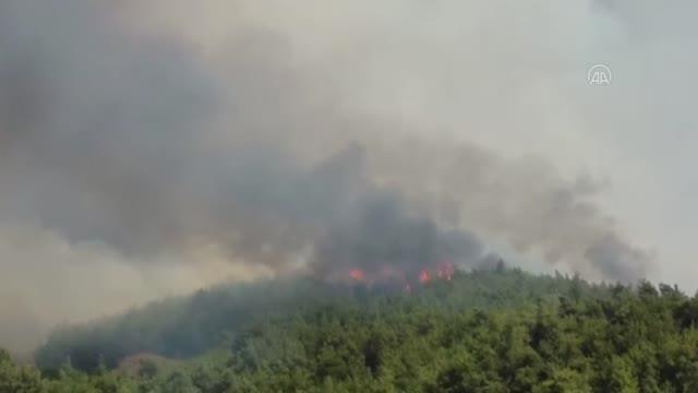 Tarlada başlayıp ormanlık alana sıçrayan yangına müdahale ediliyor (2)