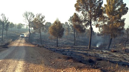 Video herunterladen: El número de siniestros relacionados con el fuego en C-LM cae un 11%