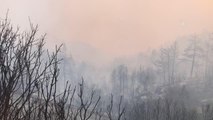 Gündoğmuş'taki orman yangınına havadan ve karadan müdahale sürüyor