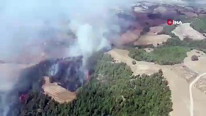 Adana’da anız yangını ormana sıçradı