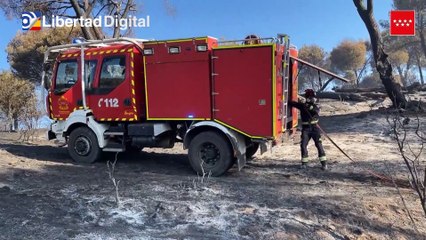 Télécharger la video: Bomberos y forestales siguen extinguiendo el incendio del pantano de San Juan en Madrid