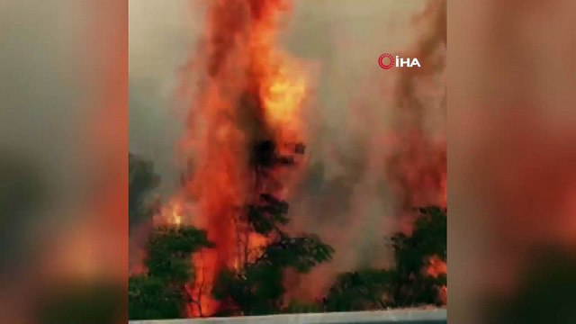 Sincan Belediyesi yangın bölgesine yardıma devam ediyor