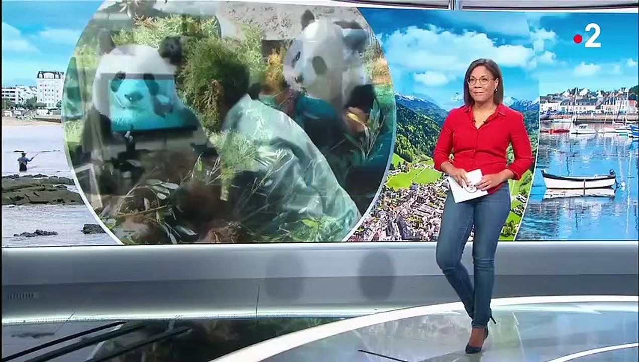 Zoo de Beauval : Huan Huan a donné naissance à deux bébés pandas