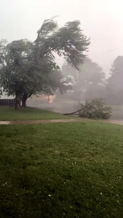 Storm Takes Tree and Trampoline