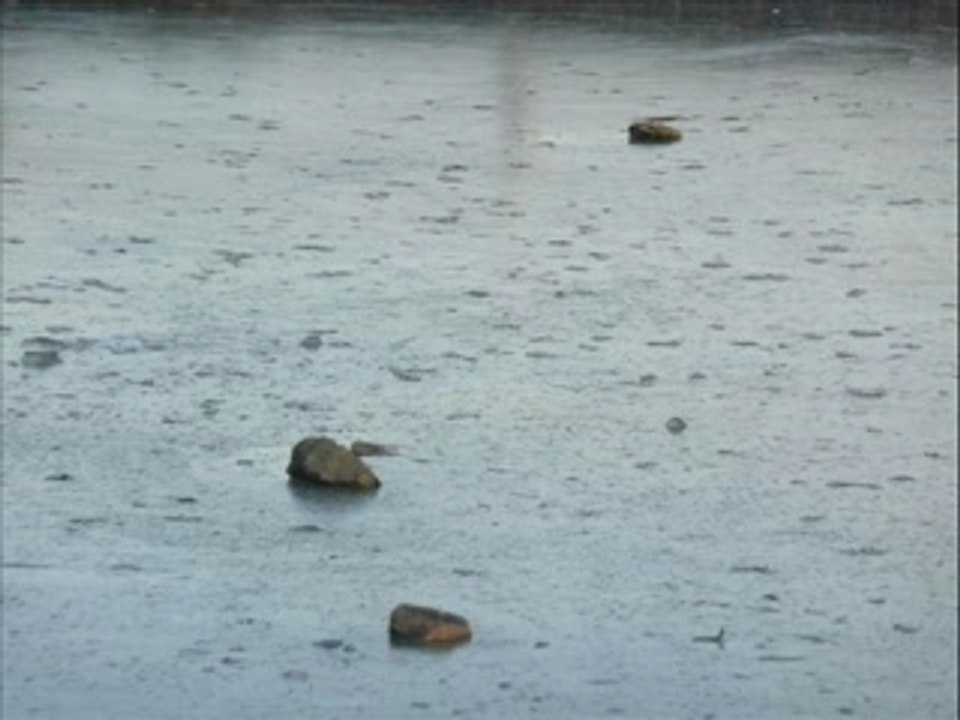 002-diaporama du parc Vauvert, Clamecy le 22 décembre 2007