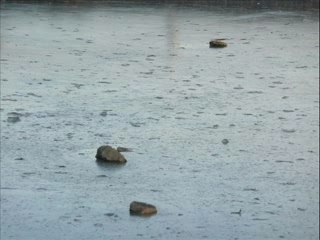 002-diaporama du parc Vauvert, Clamecy le 22 décembre 2007